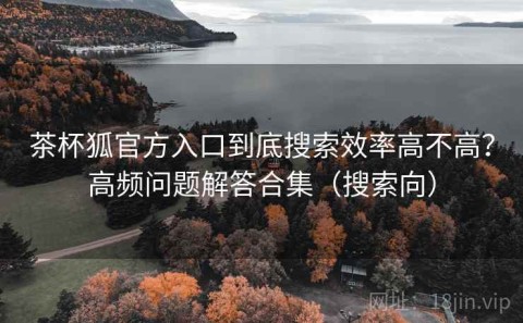 茶杯狐官方入口到底搜索效率高不高？高频问题解答合集（搜索向）