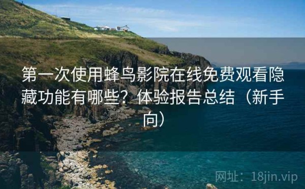 第一次使用蜂鸟影院在线免费观看隐藏功能有哪些？体验报告总结（新手向）