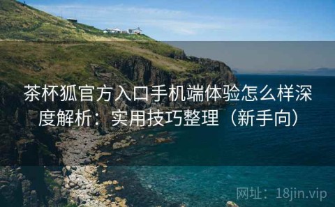 茶杯狐官方入口手机端体验怎么样深度解析：实用技巧整理（新手向）