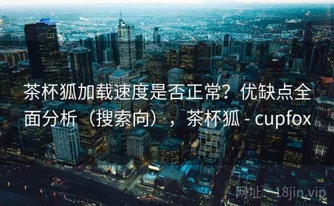 茶杯狐加载速度是否正常？优缺点全面分析（搜索向），茶杯狐 - cupfox