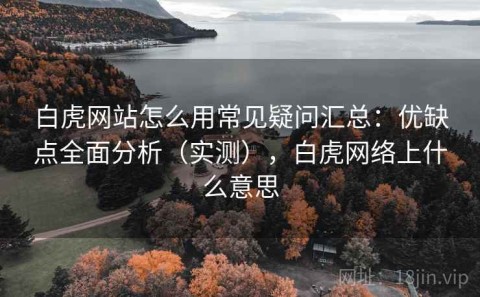 白虎网站怎么用常见疑问汇总：优缺点全面分析（实测），白虎网络上什么意思