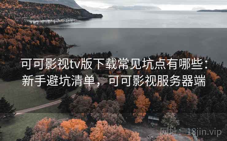 可可影视tv版下载常见坑点有哪些：新手避坑清单，可可影视服务器端